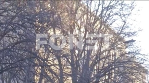 Ugašen požar na krovu suda